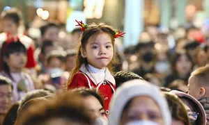 Tốc độ tăng dân số Việt Nam giảm