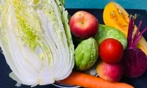 Lưu ý khi chuyển phôi thụ tinh ống nghiệm mùa hè