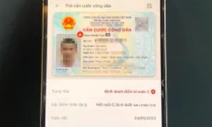 VNeID có thể thay thế những giấy tờ nào? VNeID có thể thay thế những giấy tờ nào?