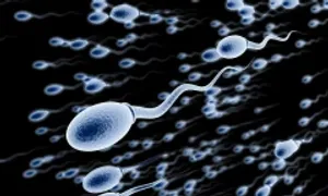 Có còn cơ hội làm cha sau triệt sản? Có còn cơ hội làm cha sau triệt sản?
