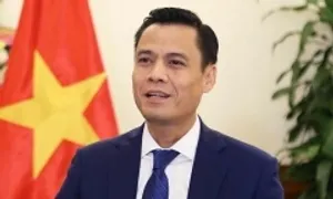 'Công ước Hà Nội sẽ là dấu ấn đối ngoại quan trọng của Việt Nam'