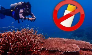 Thái Lan phạt 80 triệu đồng nếu khách dùng kem chống nắng hại san hô