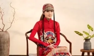 Dương Lệ Bình lần đầu biểu diễn tại Việt Nam